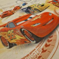 Alternative view of Päevakardina kangas CARS/DAE2