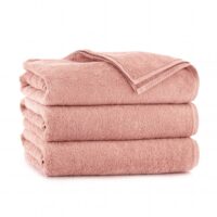 Alternative view of Rätik Kiwi