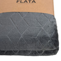 Pleed Flata - Pilt 2